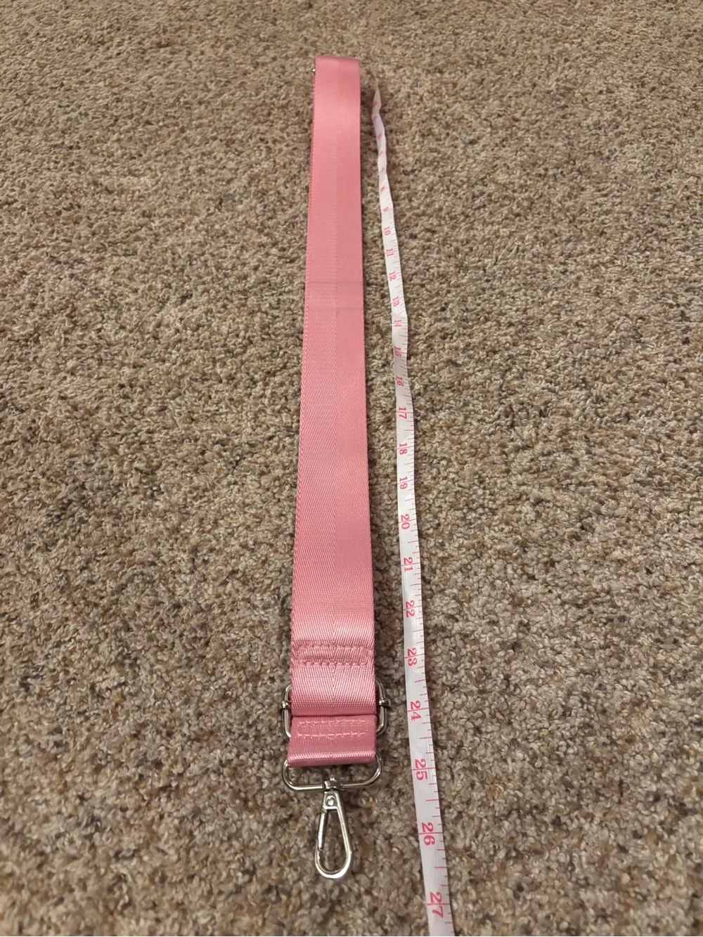 Pink Adjustable Webbing Strap with Silver Hardware